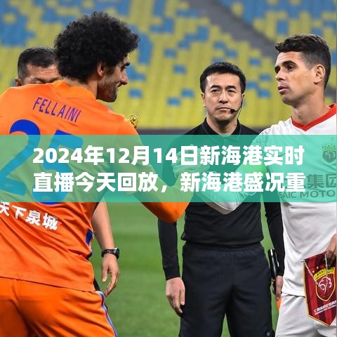 2024年12月14日新海港盛況重現(xiàn)，實時直播日回顧與回放