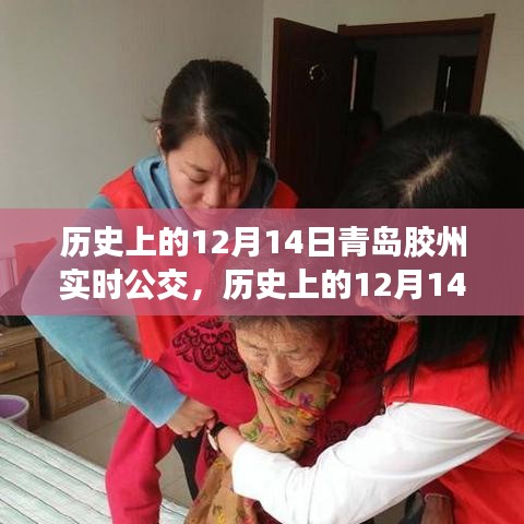 青島膠州公交查詢指南，歷史上的12月14日實時公交攻略與查詢方法分享