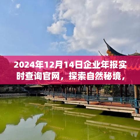 探索自然秘境，啟程尋找內(nèi)心寧靜與平和，企業(yè)年報實時查詢官網(wǎng)，開啟您的2024年報查詢之旅