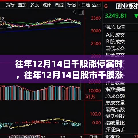 回顧往年12月14日股市千股漲停盛況，市場走勢分析與策略解讀