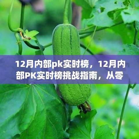 從零起步到高手的進階之路，12月內(nèi)部PK實時榜挑戰(zhàn)指南