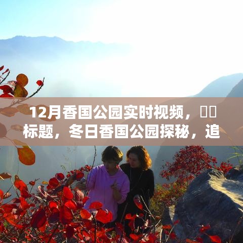 冬日香國公園實時探秘，追尋自然魔法與內(nèi)心寧靜的旅程