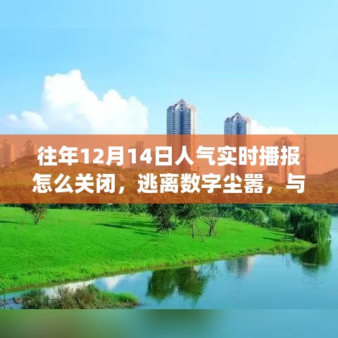 如何關(guān)閉人氣實時播報，尋找自然美景之旅，逃離數(shù)字塵囂的指南