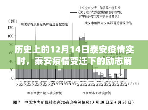 泰安疫情變遷下的勵志篇章，學(xué)習(xí)之光照亮未來之路的抗疫歷程