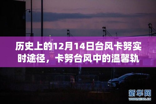 卡努臺風(fēng)中的溫情軌跡，友情與陪伴的故事，歷史記錄下的溫馨瞬間