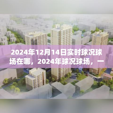 歷史與未來的交匯，揭秘2024年球況球場實時動態(tài)與地點
