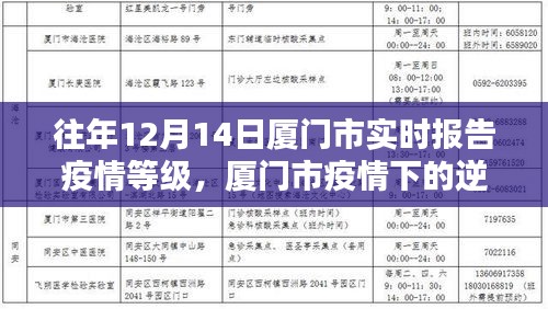 廈門市疫情逆襲之路，學習之光照亮前行之路的實時報告