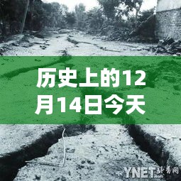 河北路況實時播報，科技引領(lǐng)未來，今日路況盡在掌控——歷史上的12月14日路況播報