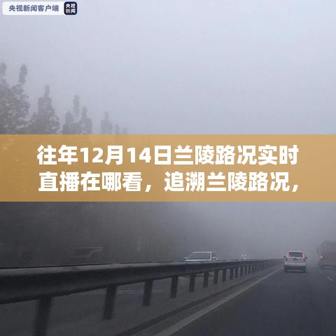 百鳥齊鳴 第5頁(yè)