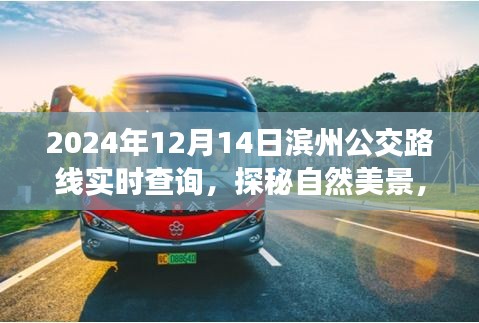 濱州公交路線實時查詢，啟程公交之旅，探尋自然美景與內心寧靜的交匯點