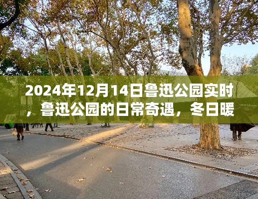 魯迅公園冬日暖陽(yáng)下的日常奇遇與溫馨時(shí)光紀(jì)實(shí)（實(shí)時(shí)更新）