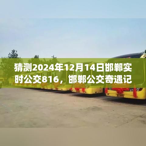 邯鄲公交奇遇記，揭秘與公交816的不解之緣，預(yù)測2024年12月14日實時動態(tài)