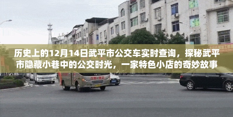 武平市公交探秘，歷史實(shí)時(shí)查詢與隱藏小巷的公交時(shí)光之旅特色小店故事