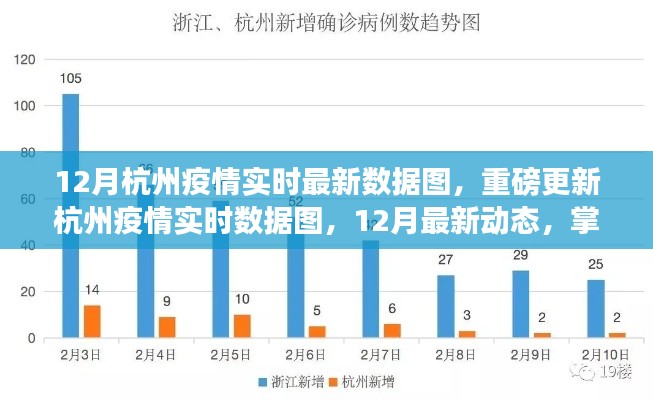 12月杭州疫情實(shí)時(shí)數(shù)據(jù)圖更新，掌握最新動(dòng)態(tài)，共筑健康防線