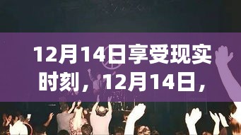 12月14日，與自然共舞，尋找內(nèi)心平靜的奇妙之旅