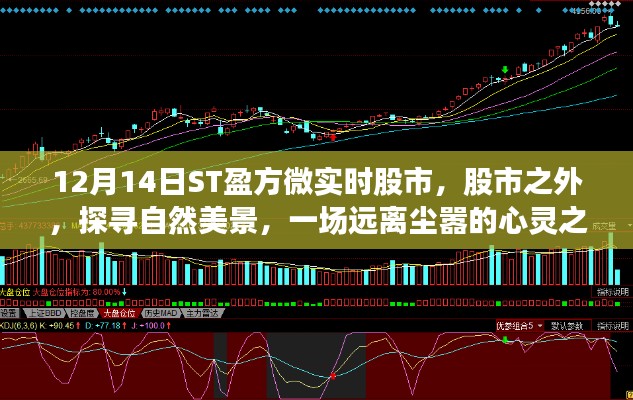 ST盈方微股市輕語，探尋自然美景的心靈之旅，啟程于股市之外