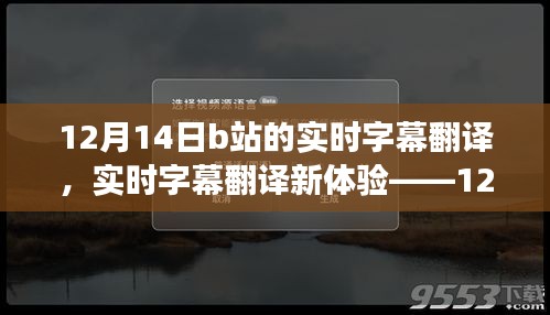 12月14日B站實時字幕翻譯新體驗，深度評測與功能探索