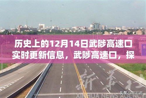 武陟高速口，探尋自然美景的啟程之地，揭秘歷史與未來，奇妙旅程盡在12月14日