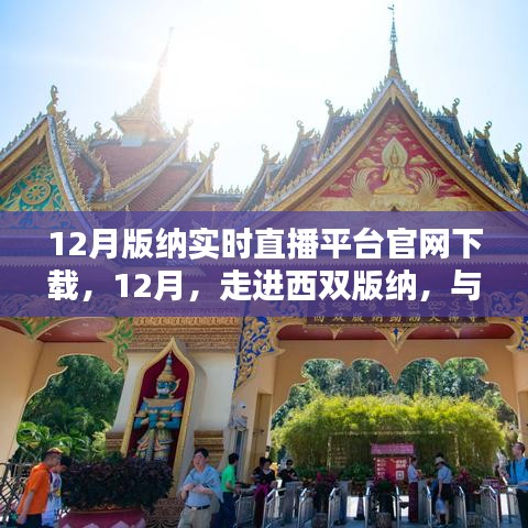 西雙版納實時直播平臺官網(wǎng)下載盛況回顧，與大自然共舞，體驗直播魅力