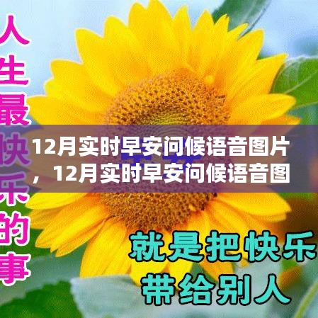 12月實(shí)時(shí)早安問候語音圖片，傳遞溫暖與活力的價(jià)值之旅