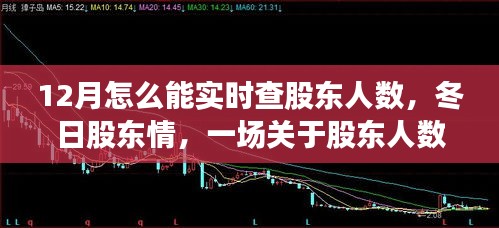 冬日股東情，實(shí)時(shí)查詢股東人數(shù)的故事與指南