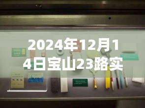 探秘寶山23路，巷弄深處的特色小店，驚喜之旅（實時動態(tài)，2024年12月14日）