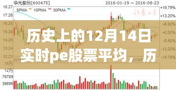 探尋PE股票背后的自然秘境之旅，歷史上的12月14日實時平均數(shù)據(jù)解析
