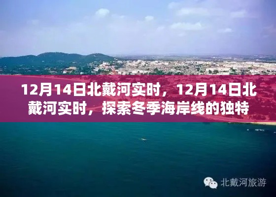 探索冬季北戴河海岸線的獨(dú)特魅力，實(shí)時(shí)報(bào)道與體驗(yàn)分享