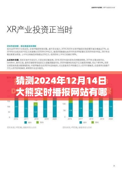 預(yù)測未來，探索大熊實(shí)時播報(bào)網(wǎng)站在2024年12月14日的形態(tài)