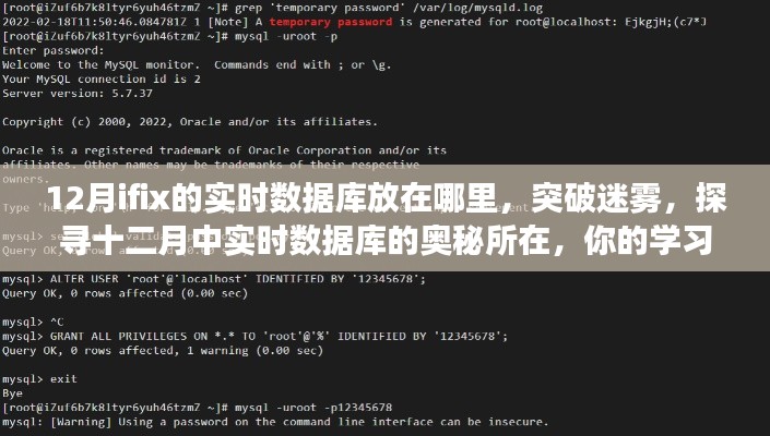 探尋十二月實時數(shù)據(jù)庫位置，學習之旅啟程