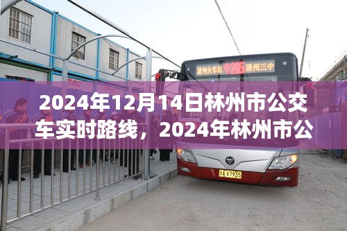 2024年林州市公交車實時路線指南，12月14日最新路線