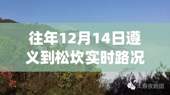 遵義松坎之旅，自然懷抱中的心靈寧?kù)o與實(shí)時(shí)路況查詢(xún)