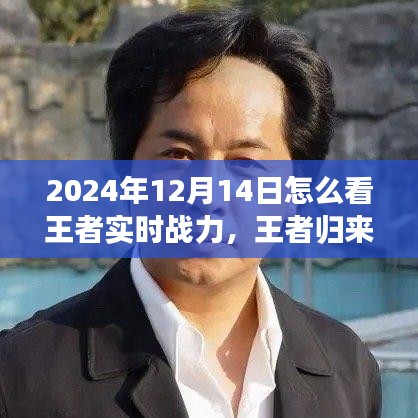 王者歸來，探尋自然美景之旅與解鎖內(nèi)心平靜之力，實時戰(zhàn)力指南（2024年12月14日）