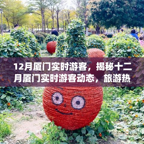 揭秘十二月廈門游客動(dòng)態(tài)，旅游熱點(diǎn)、特征與活動(dòng)亮點(diǎn)