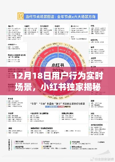 小紅書(shū)獨(dú)家揭秘，12月18日用戶(hù)行為實(shí)時(shí)場(chǎng)景全解析與洞察