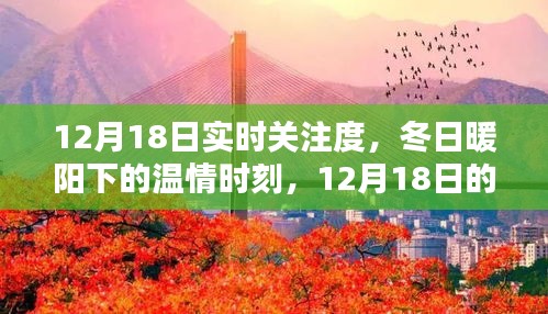 12月18日實(shí)時(shí)關(guān)注，冬日暖陽(yáng)下的溫情時(shí)刻