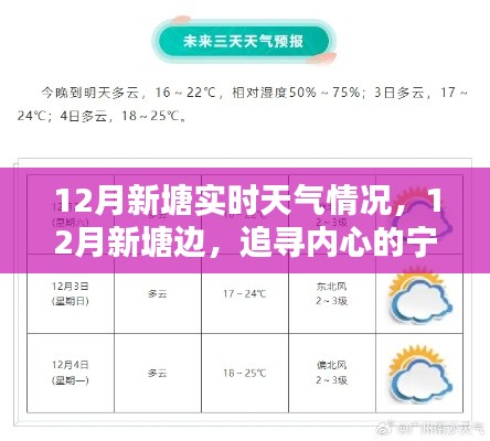 12月新塘實時天氣探索，追尋內(nèi)心的寧靜與自然微笑