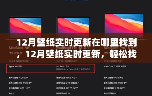 飛蝗蕪湖 第4頁