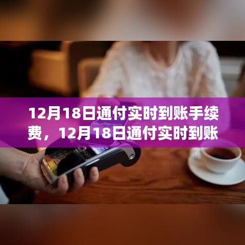 12月18日通付實時到賬手續(xù)費調(diào)整解析，新政策費用標準及其影響