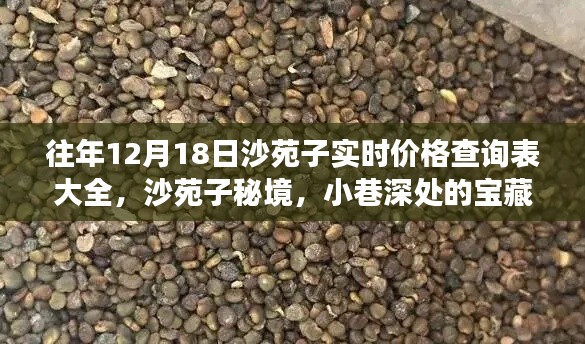 沙苑子實(shí)時(shí)價(jià)格查詢表及秘境探秘，小巷深處的寶藏與價(jià)格探秘之旅
