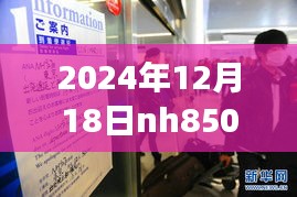探秘隱藏美食與NH航班背后的故事，NH航班實(shí)時(shí)動(dòng)態(tài)與小巷深處的獨(dú)特魅力