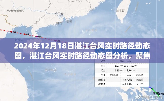 湛江臺風實時路徑動態(tài)圖分析，聚焦爭議觀點，解讀臺風動態(tài)影響報告（附實時路徑圖）