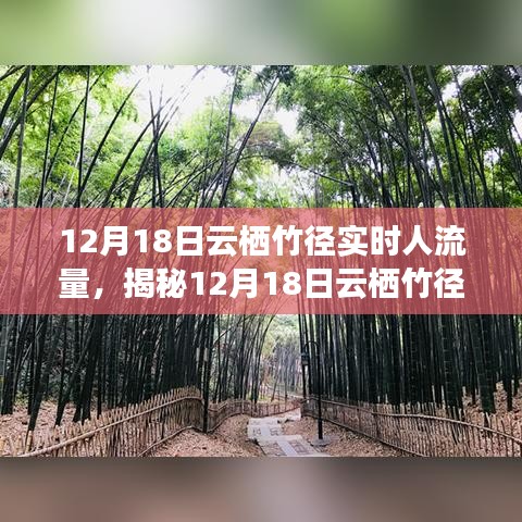 揭秘，云棲竹徑在12月18日的實(shí)時(shí)人流量深度解析與洞察報(bào)告