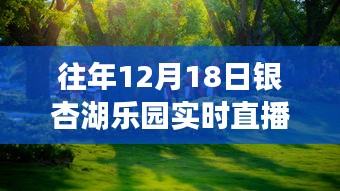 重溫銀杏湖樂園夢幻之旅，往年12月18日直播盛典回顧