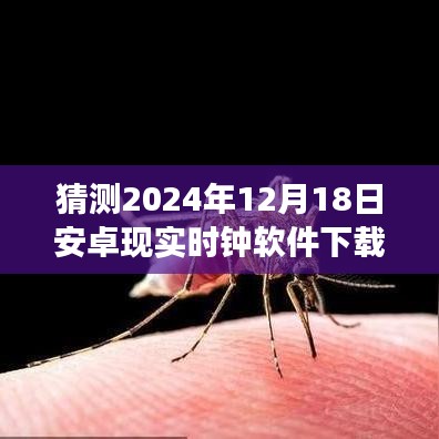 時(shí)光之窗，安卓時(shí)鐘軟件奇妙下載之旅，預(yù)測(cè)下載量飆升于2024年12月18日！