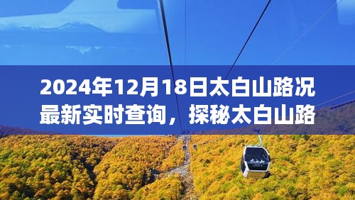 太白山路況實(shí)時(shí)更新，美食之旅探尋隱藏小巷的獨(dú)特風(fēng)味
