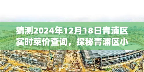 探秘青浦區(qū)菜價秘境，2024年12月18日菜價預(yù)測與實時查詢之旅