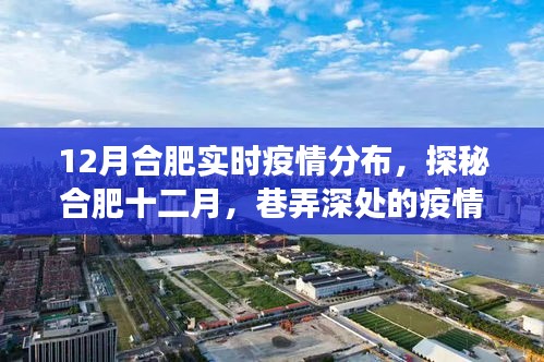 合肥十二月疫情探秘，巷弄深處的實(shí)時(shí)分布與獨(dú)特小店的故事
