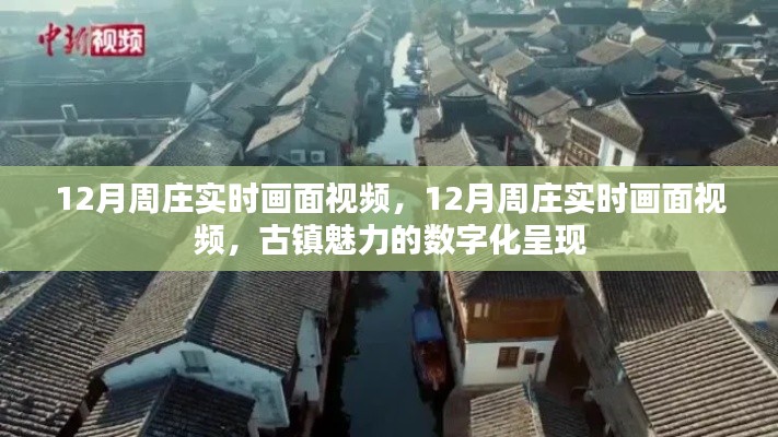 數(shù)字化呈現(xiàn)周莊古鎮(zhèn)的冬季魅力實(shí)時(shí)畫(huà)面視頻