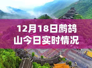鷓鴣山今日實(shí)時(shí)情況，特色小店帶你領(lǐng)略別樣冬日風(fēng)情，驚喜藏于深山之中